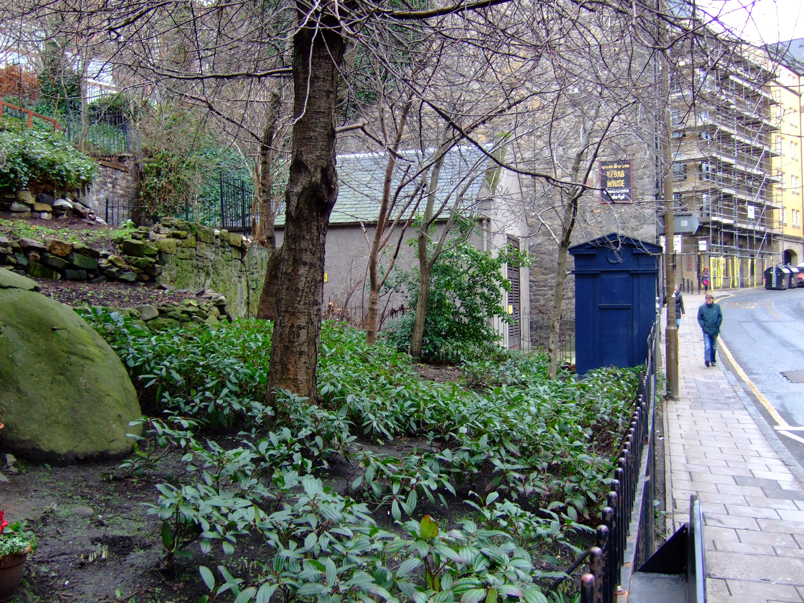 A garden of evergreen plants rises steeply away from a city street. There is a blue Edinburgh police box at pavement level. A passer-by approaches.